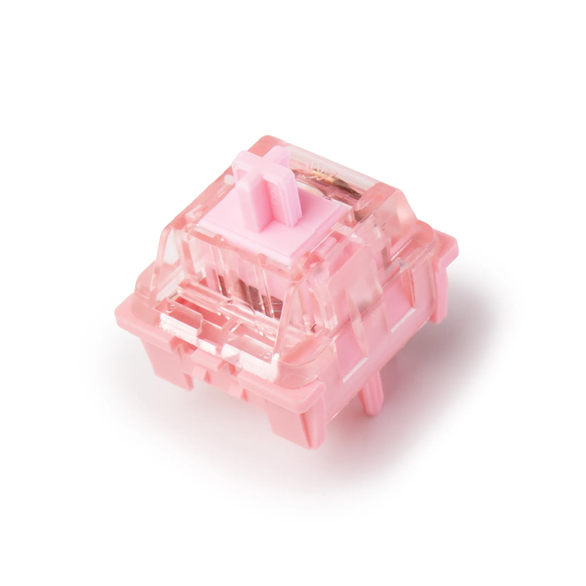 IKASAYA - KTT Rose