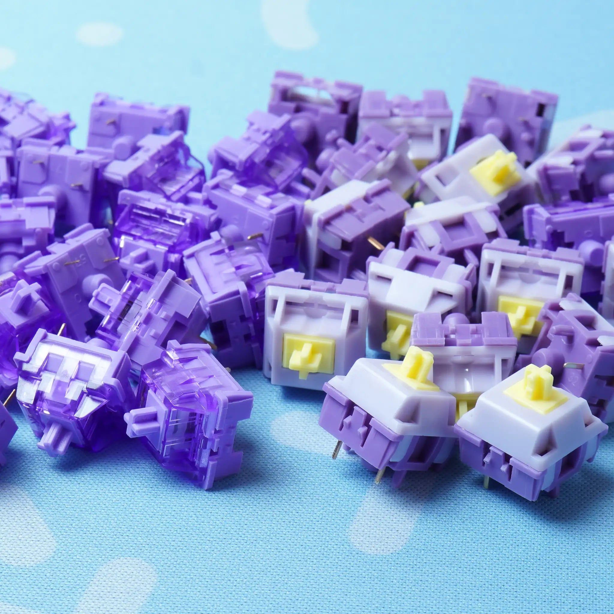 IKASAYA - KTT Hyacinth & KTT Purple Click (Desktop)